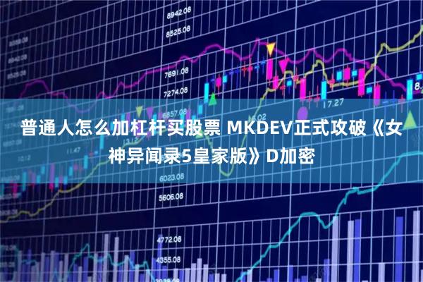 普通人怎么加杠杆买股票 MKDEV正式攻破《女神异闻录5皇家版》D加密