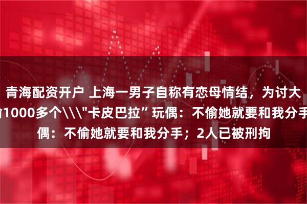 青海配资开户 上海一男子自称有恋母情结，为讨大姐姐女友欢心偷1000多个\